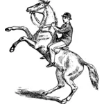 Mann ridning en oppdrett horse vektor bilde